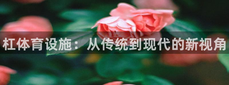 尊龙网站手机下载