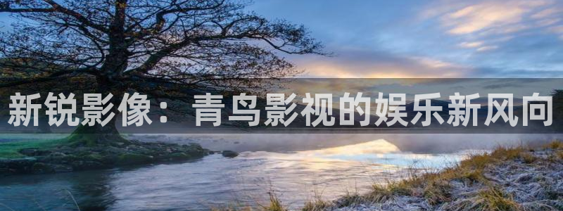 海狮视频下载