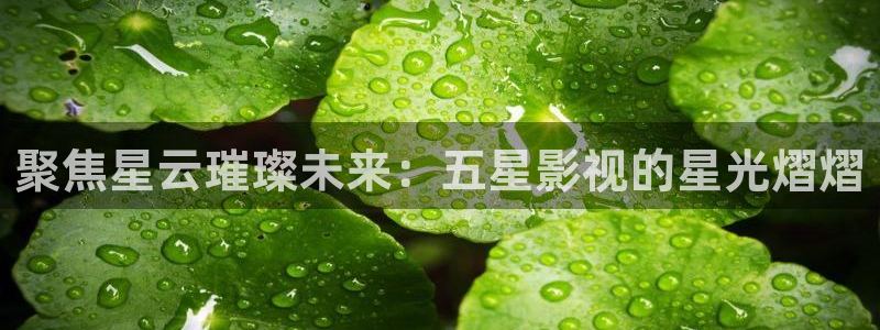 海狮影视