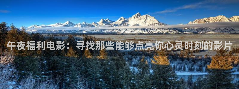 海狮视频电视剧免费观看全集