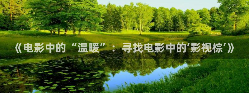 海狮视频电视剧免费观看全集