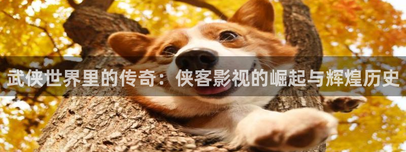 海狮影视