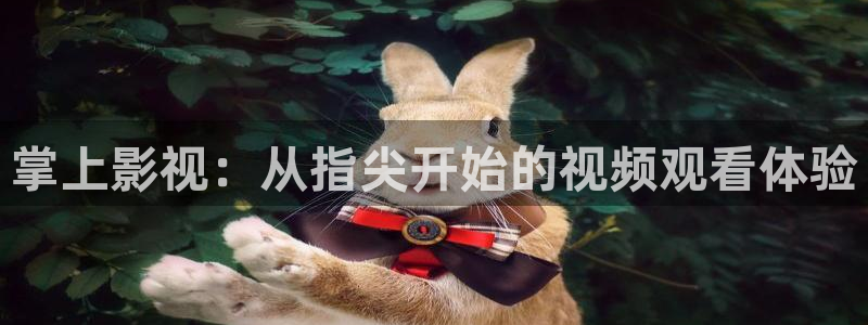海狮视频电视剧免费观看全集
